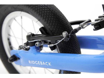 Ridgeback Scoot Blue click to zoom image