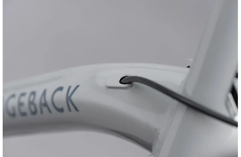2021 Ridgeback Element EQ Hybrid Bike in Silver-2