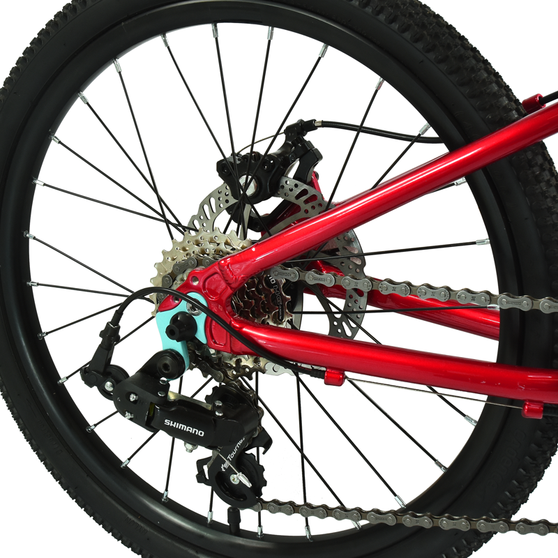 Hoy Pentland 20in Kids Bike in Sprint Red-3