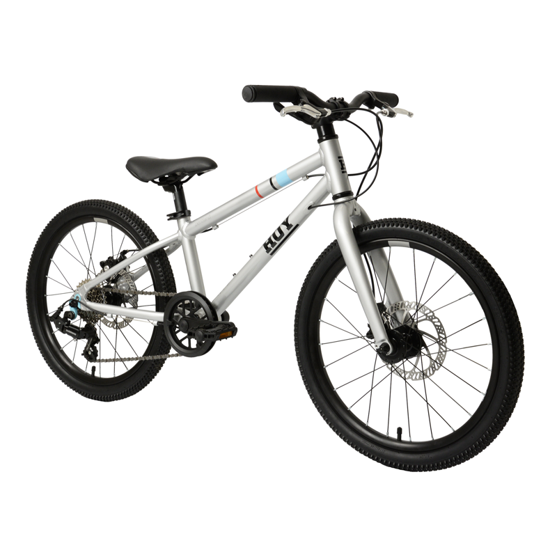 Hoy Pentland 20in Kids Bike in Titanium Silver-1