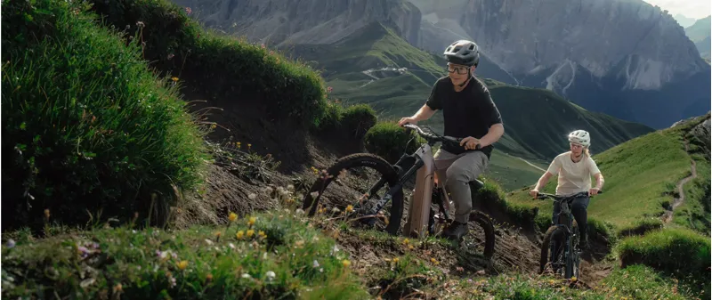 The Specialized Levo 4