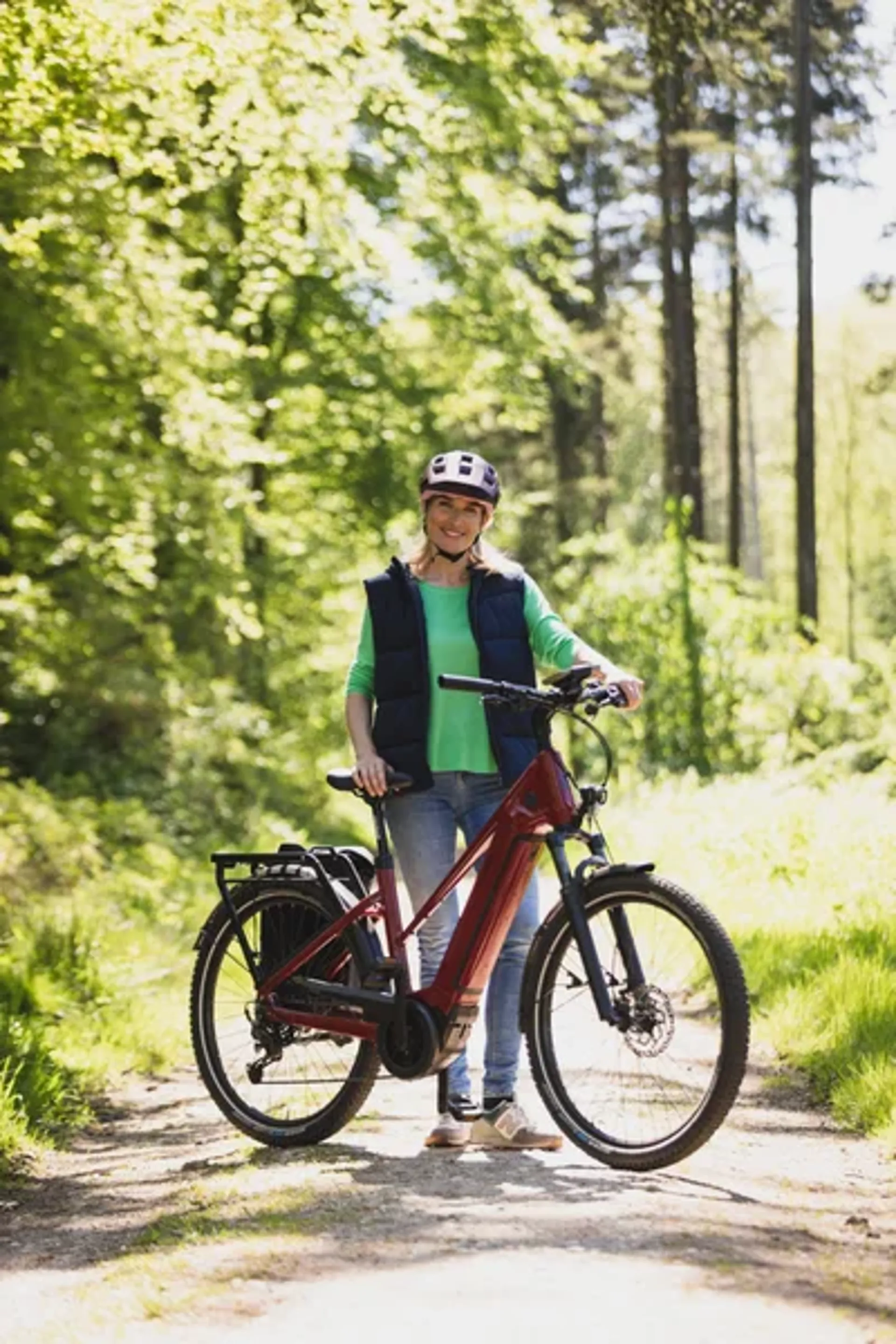 VELO DE VILLE custom e-bike