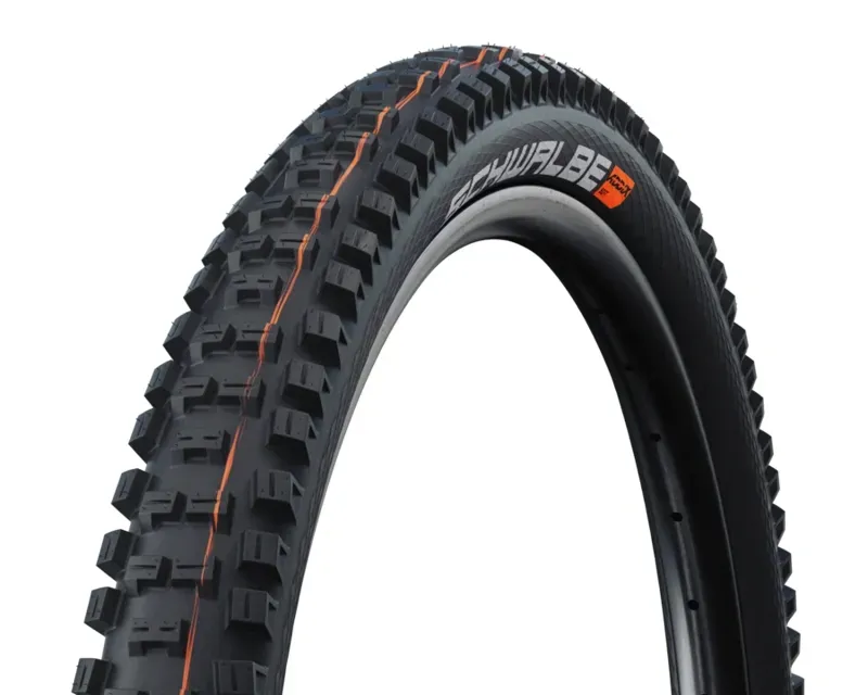 Schwalbe Addix Big Betty Soft 29x2.40-inch Super Tr. TLE Evo Fld. Tyre-1