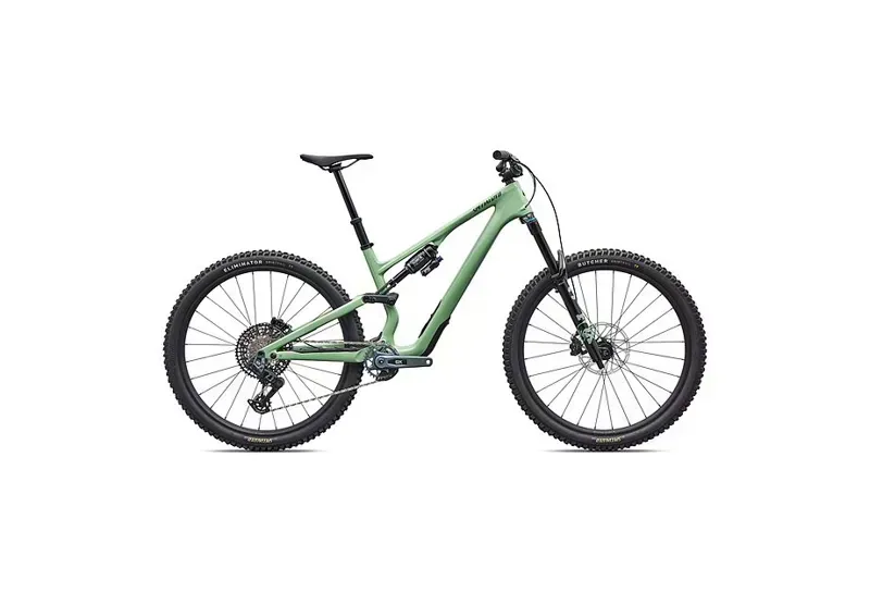 Specialized Stumpjumper 15 EVO Expert AXS Mountain Bike in Pistachio