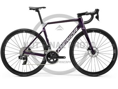 Merida Scultura 7000 - Purple - MY22/23