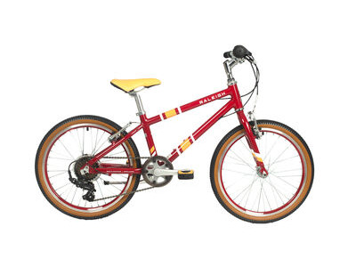 Raleigh Pop 20 Plum