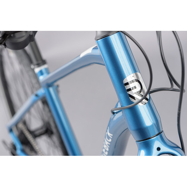 Ridgeback element 2021 hotsell