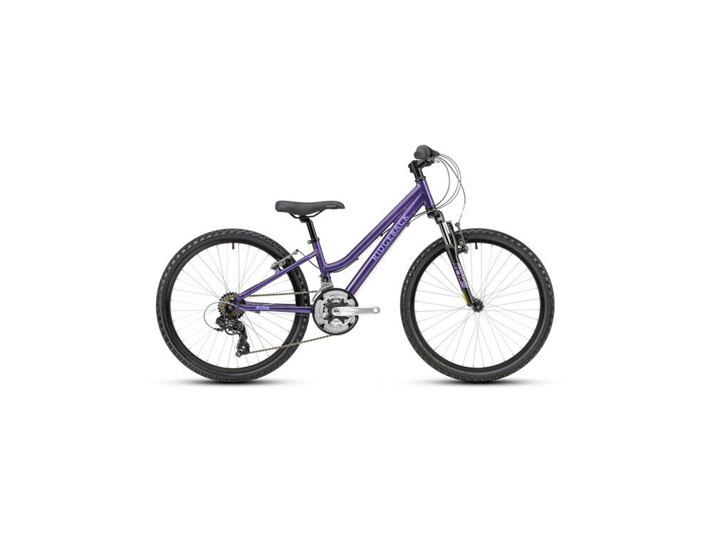 Ridgeback Destiny 24 Inch Wheel Purple click to zoom image