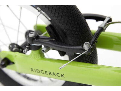 Ridgeback Scoot Green click to zoom image
